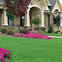 lawn care service in suffolk and nassau county