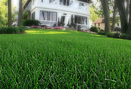 mowing and maintenance of long island lawns