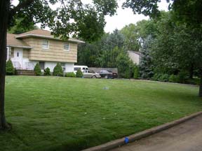 LONG ISLAND , NORTHPORT SOD INSTALLATION AND PLANTING