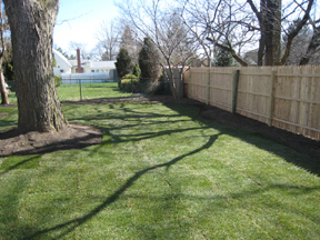 LONG ISLAND , NORTHPORT SOD INSTALLATION AND PLANTING