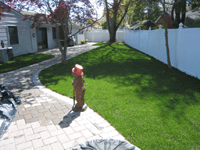 LONG ISLAND , SMITHTOWN SOD INSTALLATION AROUND POOL