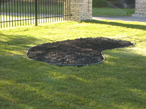LONG ISLAND , NORTHPORT SOD INSTALLATION AND PLANTING