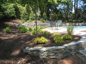 DIX HILLS, NY PLANTING DESIGN AND INSTALLATION