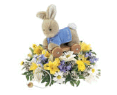 Peter Rabbit� Pull Toy Bouquet
