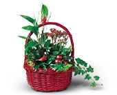 Country Fruit Basket