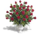 Gracious Remembrance