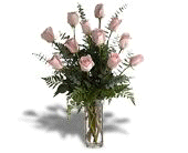 Passionately Pink Roses