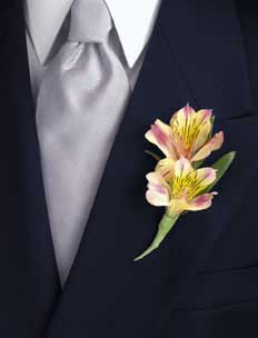 This boutonniere consists of one stem of peach alstroemeria 		and one stem of seeded eucalyptus