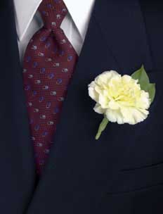 This boutonniere consists of one yellow carnation and one stem `	of salal.
