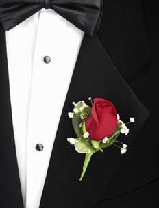 This boutonniere consists of one red rose, one stem of 	gypsophilia and variegated pitosporum.