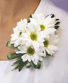 This corsage contains flowers such as white daisy pompons, 	leatherleaf and hunter green sheer ribbon. 