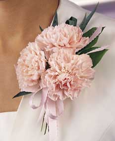 This corsage contains flowers such as pink carnantions, salal 	and picot pink ribbon.