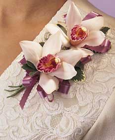 This corsage contains flowers such as white cymbidium orchids 	variegated ivy and mauve picot ribbon.