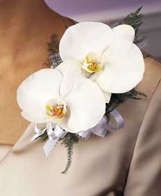 This corsage contains flowers such as white phalaenopsis 	orchids, plumosus and white picot ribbon. 