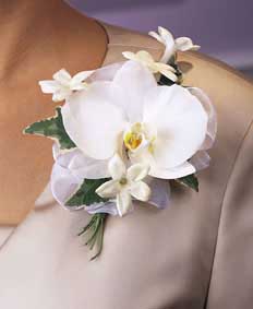 This corsage contains flowers such as white phalaenopsis 	orchid, stephanotis, variegated ivy and white chiffon ribbon.
