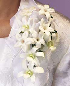 This corsage contains flowers such as white dendrobium 	orchids, stephanotis,  variegated greens and white chiffon ribbon.