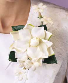 This corsage contains flowers such as gardenia, stephanotis 	and white tulle.
