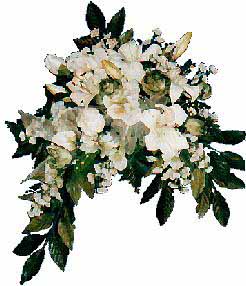 bouquet has mossgreen freeze dried look roses, white roses, 	ivory tiger lilies, white snap dragons, ivory corn flower, moss tiger
       lily buds, pearl sprays, fiscus and leather leaf leaves, and 	preserved plumosa.